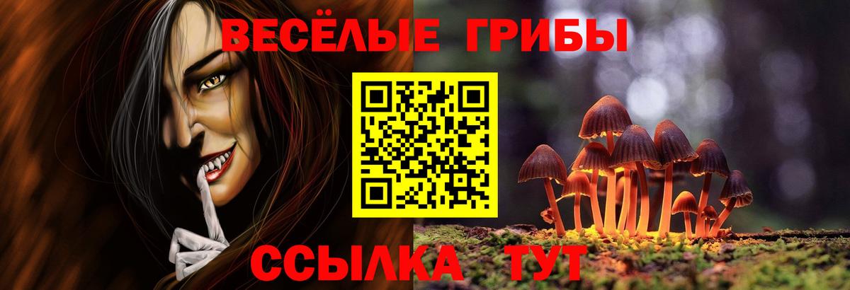 Галлюциногенные грибы мицелий  Галлюциногенные грибы прущие грибы  цена   Вход с VPN  Качканар 